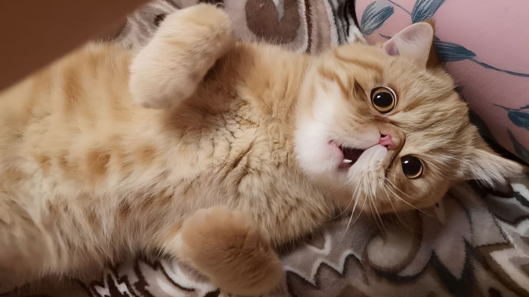 Не в тему. Мой любимый Плюша смотреть онлайн