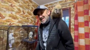 Ангелина пришла из детского садика и первым делом пошла ЗАБИРАТЬ Люсю и компанию!