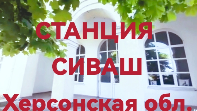 Сиваш -уникальный залив: соль,грязи и розовые воды смотреть онлайн