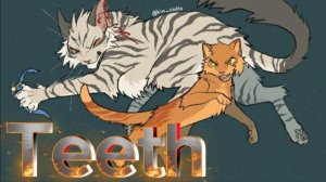 ✷Коты-воители Долгохвост и Рыжик/Teeth✷