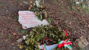 Триест. Италия.🇮🇹