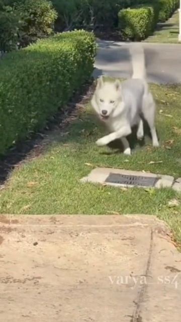 Улыбнись смотреть онлайн