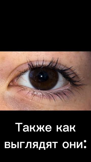 //[17:36]\\//Идея моя!\\!!Это не про всех, это про тех, кто так говорит!! \\//Не, ну правда\\ смотреть онлайн