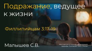 Подражание, ведущее к жизни | Малышев С.В.