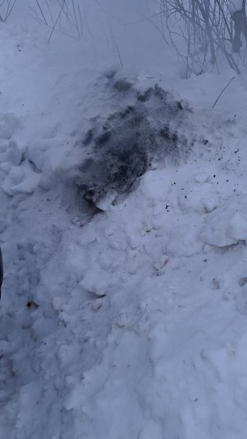 Прострелы двигателя смотреть онлайн