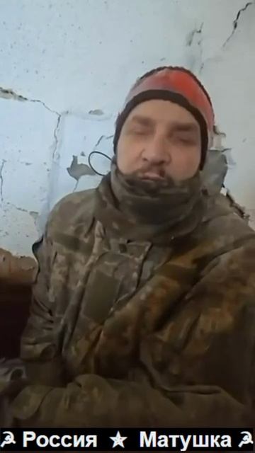 🔴Иногда от пленных 🐷 есть польза.🔴 смотреть онлайн