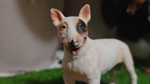 Мемы + лошади