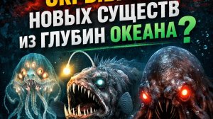 Почему ученые не показали нам новых существ из глубин океана, которых они нашли?