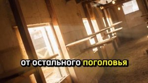 🐔 Куры хрипят и тяжело дышат — что делать и чем лечить / 🐔😮💨 Почему куры хрипят? Болезни, уход