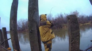 ЗИМА ОТМЕНЯЕТСЯ. СЕЗОН ПРОДОЛЖАЕТСЯ. ЩУКА ПОВЕЛАСЬ НА ПРИМАНКУ ОСОБУЮ. ФИОЛЕТ ИНОГДА СПАСАЕТ.