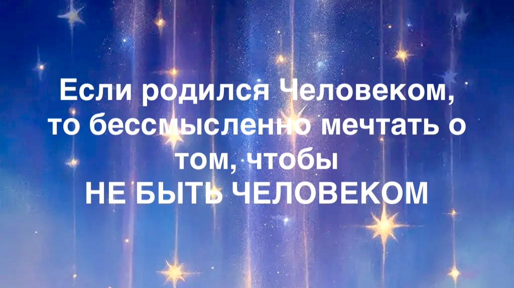Запись прямого эфира от 25.01.2026 смотреть онлайн
