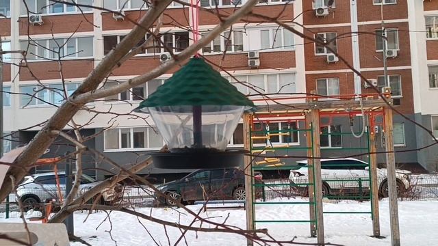 Хорошая Песня. БАЙРАМ**НИКТО НЕ ЗНАЕТ НАПЕРЕД**.Елки пока не убрали... смотреть онлайн