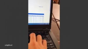 Шухер наведённый котами 😁