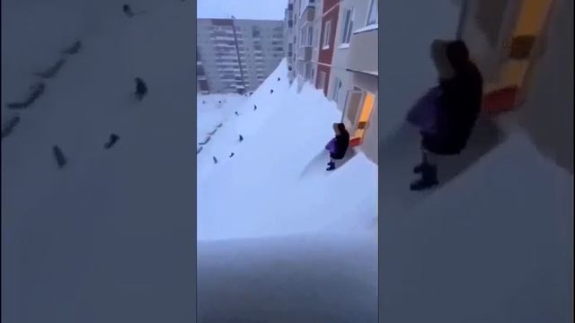 Камчатку завалило снегом смотреть онлайн