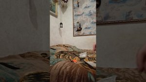 Сигнализатор поклёвки ,проще некуда.