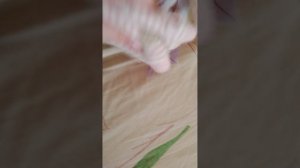 VLOG/наше утро с реборном Мией