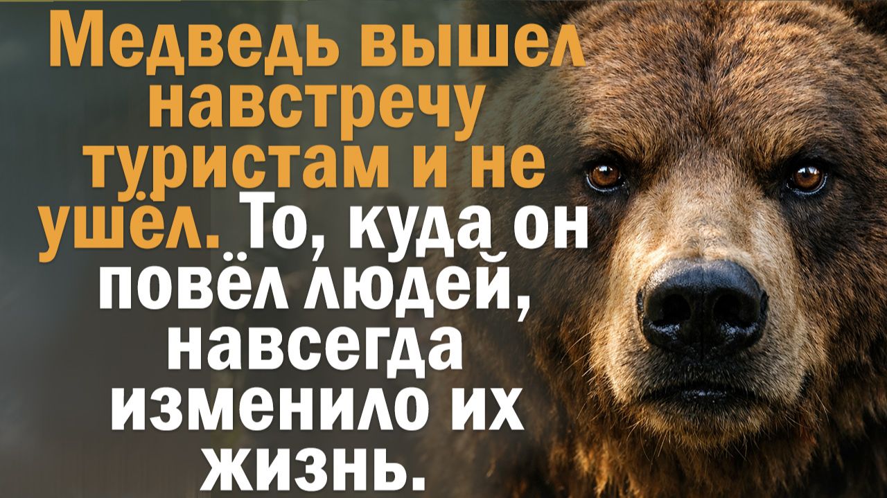 Тайна лесной поляны. История, что цепляет сердце. Уральская тайга. смотреть онлайн