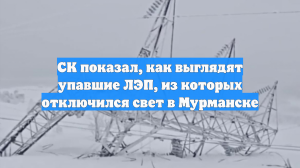 СК показал, как выглядят упавшие ЛЭП, из-за которых отключился свет в Мурманске