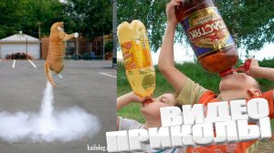 ЛУЧШИЕ ПРИКОЛЫ 2026 | ПРИКОЛЫ 2026 | СВЕЖИЕ ПРИКОЛЫ 2026 | РЖУ НЕ МОГУ |