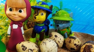 Маша и Щенячий Патруль помогают Черепашкам. Развивающий мультик для малышей игрушки Маша и Медведь