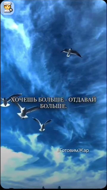 Цитаты со смыслом #цитаты #мудрость #мудрыеслова #топ #рек #рекомендации #яппи #музыка #лайк #подпис смотреть онлайн
