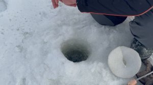 Сергей на СЗ