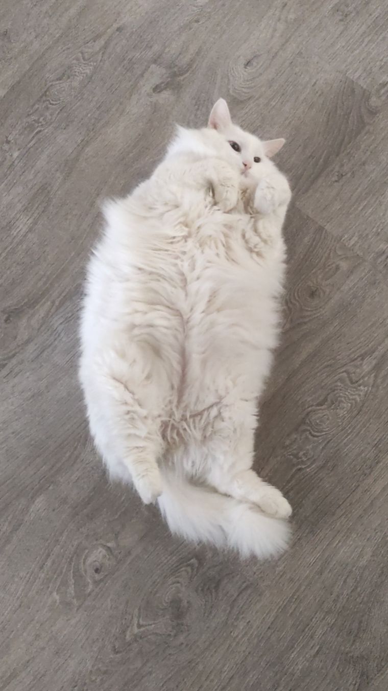 УТРО БЛОГЕРА смотреть онлайн