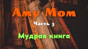 Мудрая книга. Часть 3 — Аму Мом о тишине между мыслями