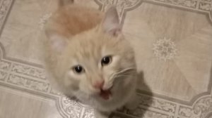 Ура, у меня сегодня день рождения (Юбилей) 25 лет!!!!!