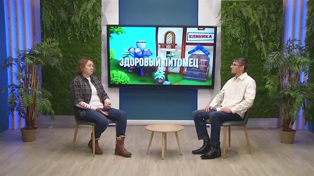 Здоровый питомец, 26.01.2026 смотреть онлайн