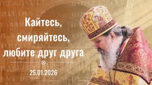 Если бы мне подарили миллион долларов, я... Проповедь о. Андрея Лемешонка 25 января 2026 г.