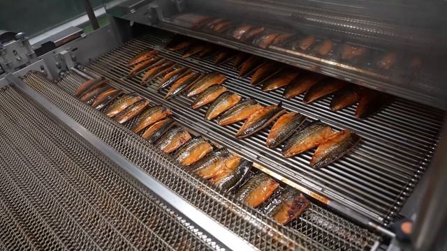 Процесс массового производства скумбрии терияки смотреть онлайн