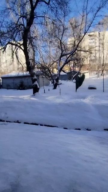 video_2026-01-26_11-44-37 смотреть онлайн