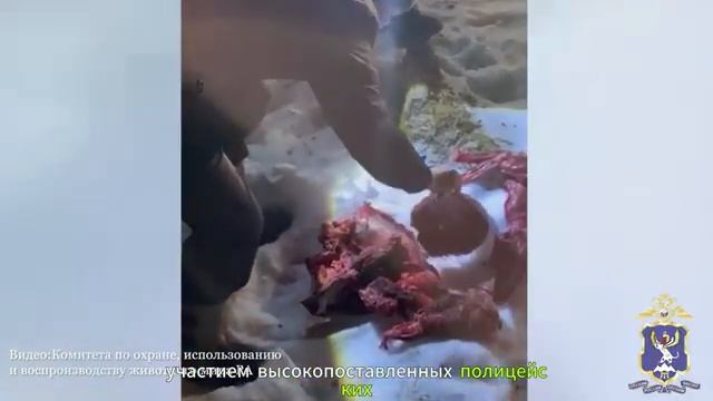 РЕЗОНАНСНЫЕ ДЕЛА В РОССИИ — взятки, мошенничество, силовые задержания и последствия по закону.mp4 смотреть онлайн