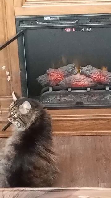 Не дурак я смотреть онлайн