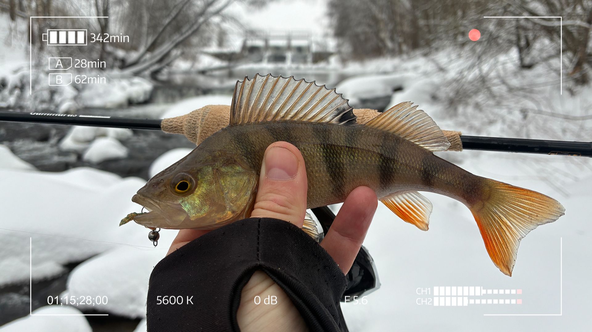 Посетил зимнее место Силы смотреть онлайн