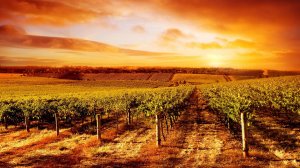 Ramiro Pedemonte - Melodic House. Beautiful views of the planet. Sunset