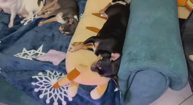 Доброго всем вечера и самой спокойной ночи. смотреть онлайн