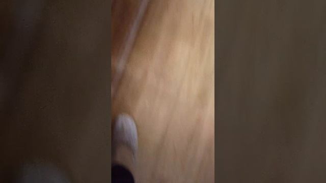 оо смотреть онлайн