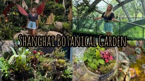 Шанхайский ботанический сад // VLOG Shanghai Botanical Garden 1 часть