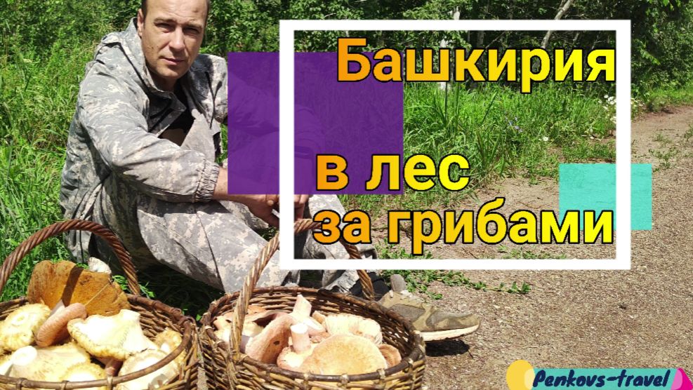 В башкирский лес за грибами. Воспоминания о летнем отдыхе смотреть онлайн