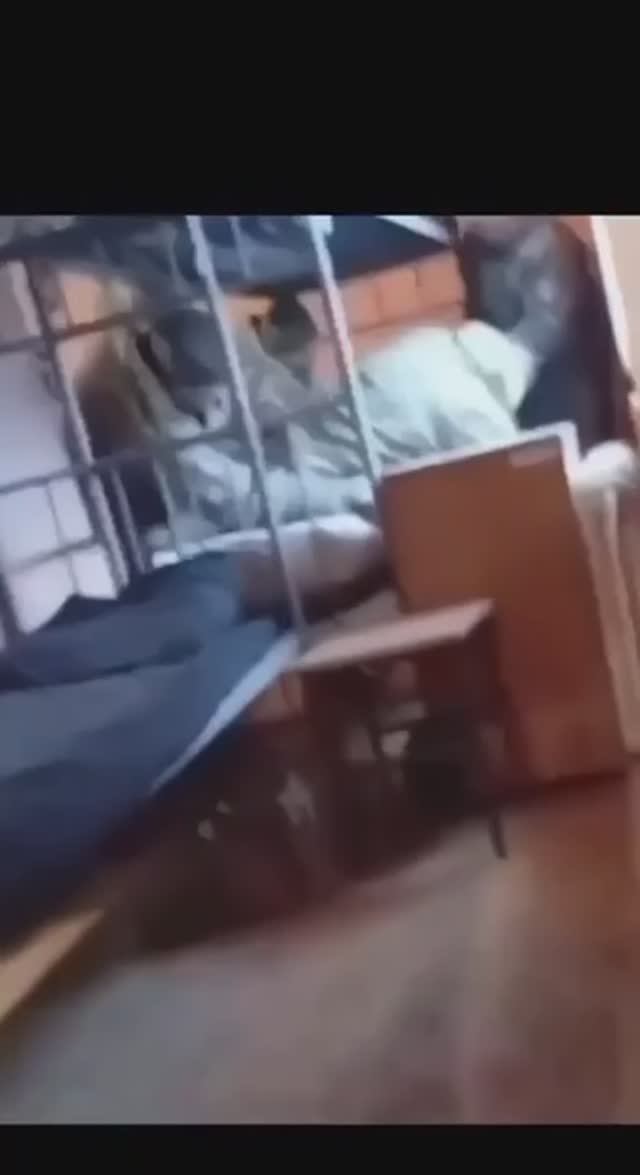 Чертоги ТЦК в городе Ровно смотреть онлайн