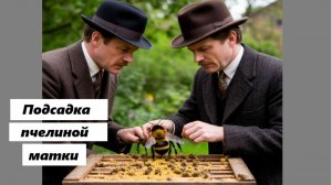 Перчатки Холмса: 8-я серия "Подсадка пчелиной матки".