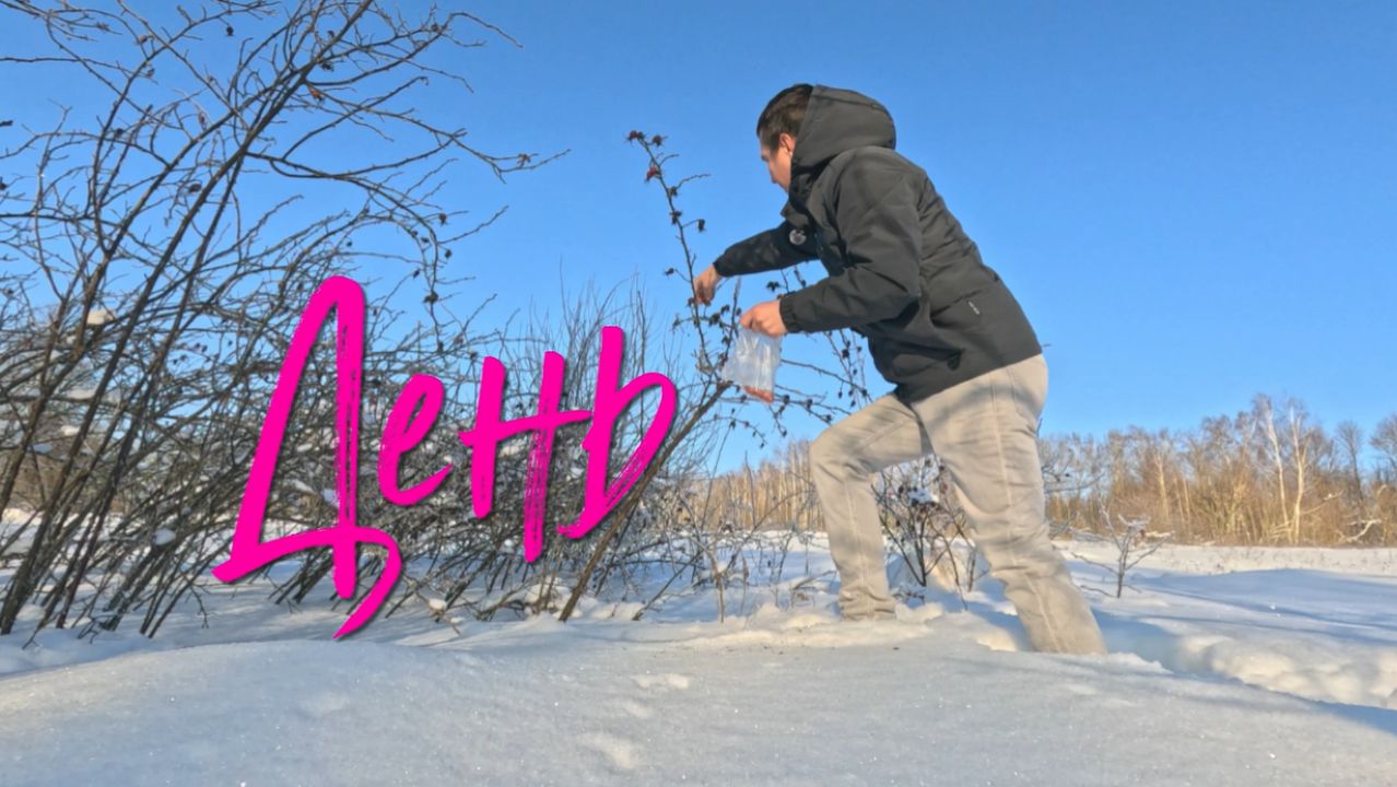 День. смотреть онлайн