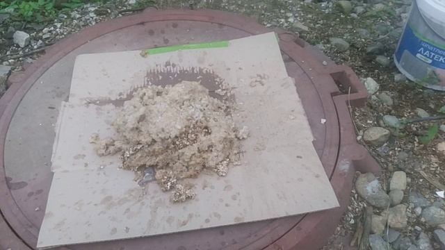 Новый проект подкормка мух смотреть онлайн