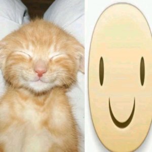 распаковка книгии❤️