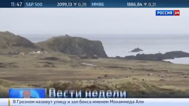 Цитадель. Специальный репортаж Александра Лукьянова смотреть онлайн