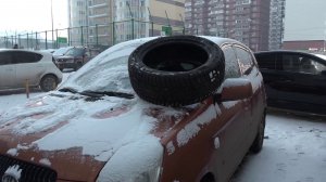 СОСЕДИ НЕ В АДЕКВАТЕ