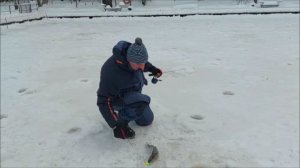 Поклёвки сегодня на вес золота. Клёвое место, Лосиный остров, спорт-зона.