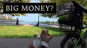 Воскресная доставка в Бруклине, New York